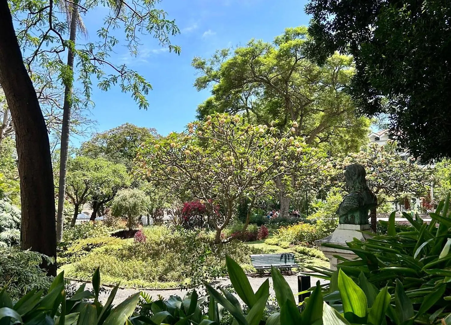 Apartment Minorca فونشال