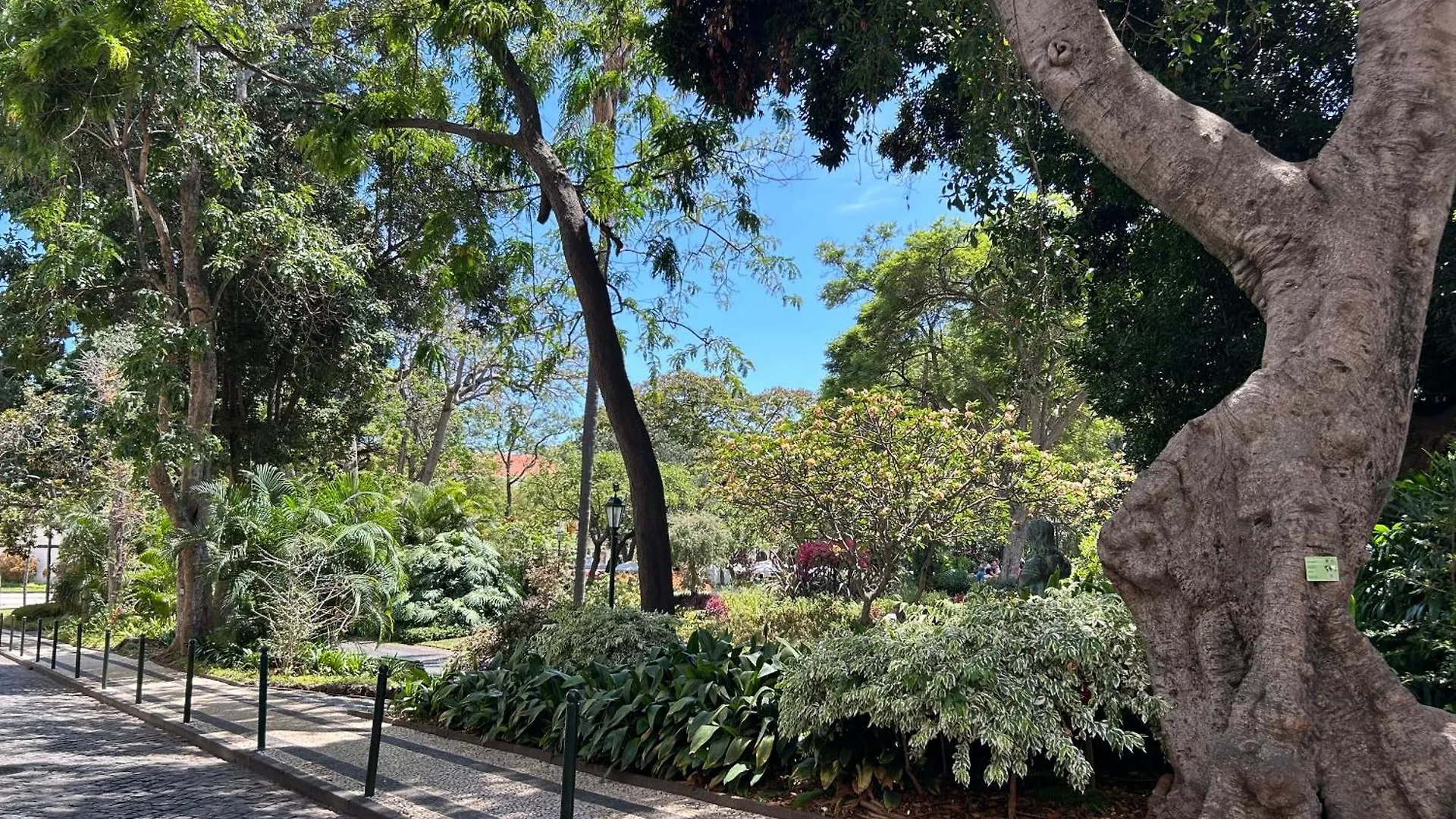 Apartment Minorca فونشال